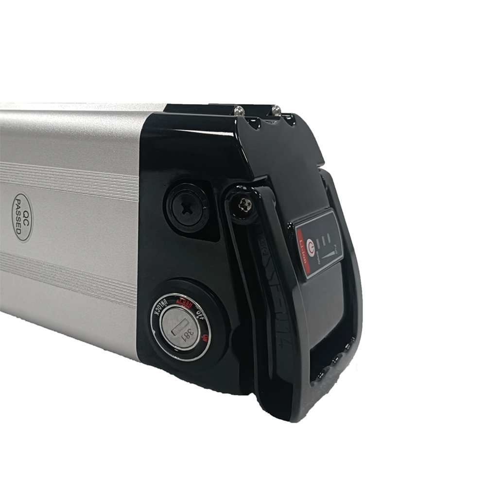 48V Electric Bicycle Lithium Battery.png