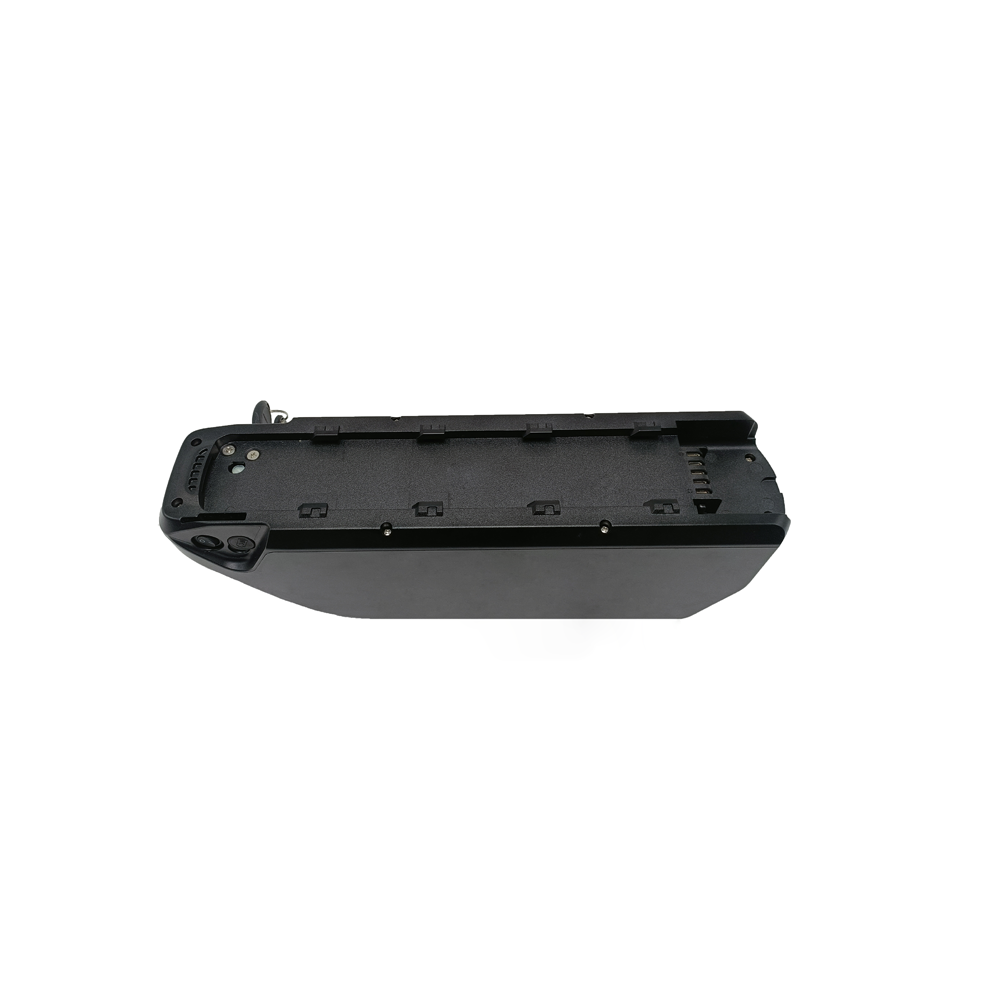 48V External Hanging Electric Bicycle Lithium Battery.png
