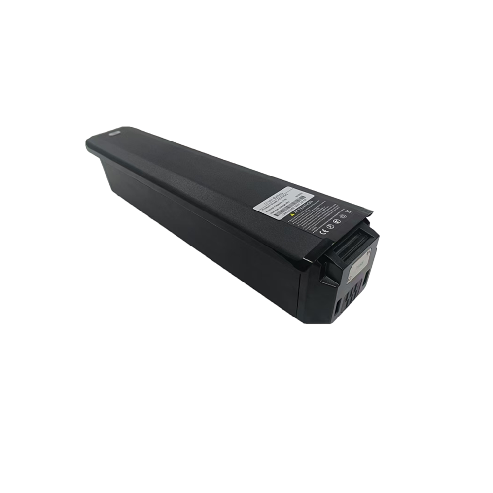 48V E-Bike With Built-in Lithium Battery (1).png
