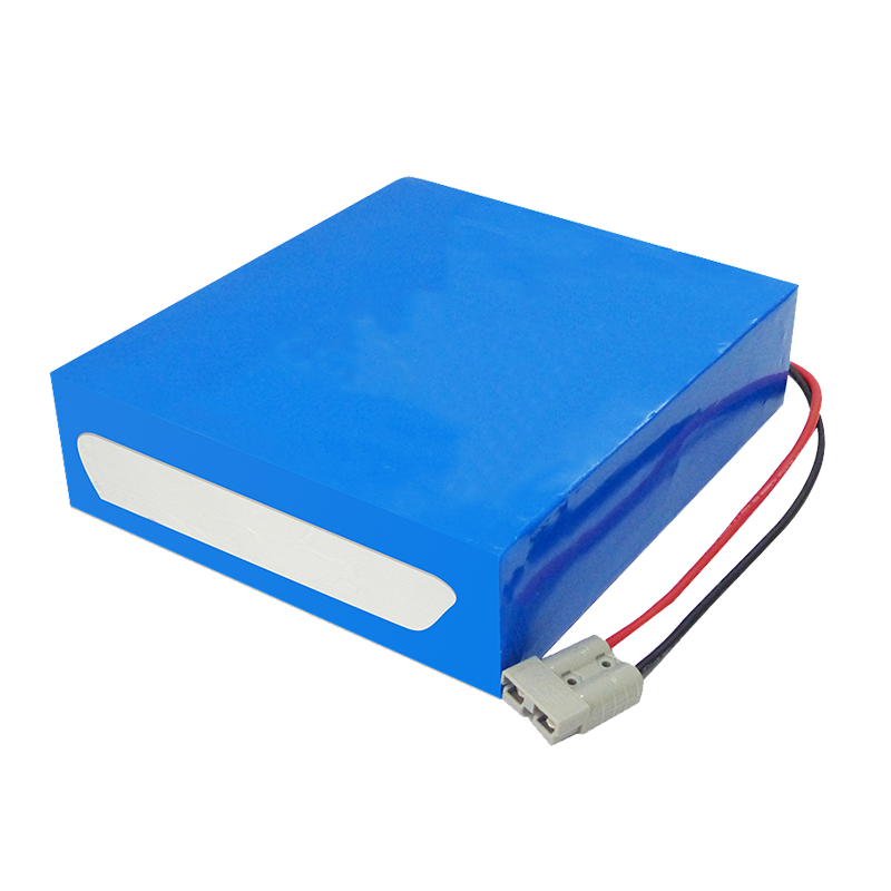 OEM ODM 48V 30Ah AGV battery