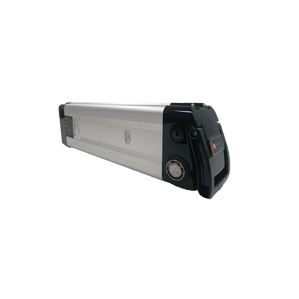48V Electric Bicycle Lithium Battery (1).png