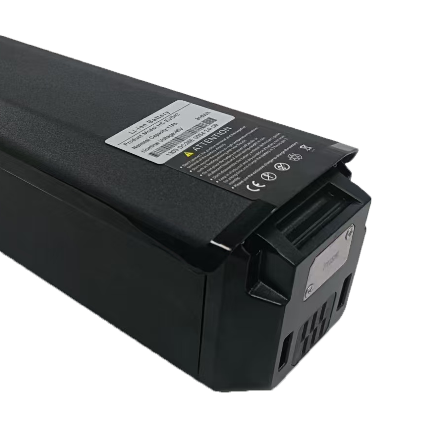 48V E-Bike With Built-in Lithium Battery.png