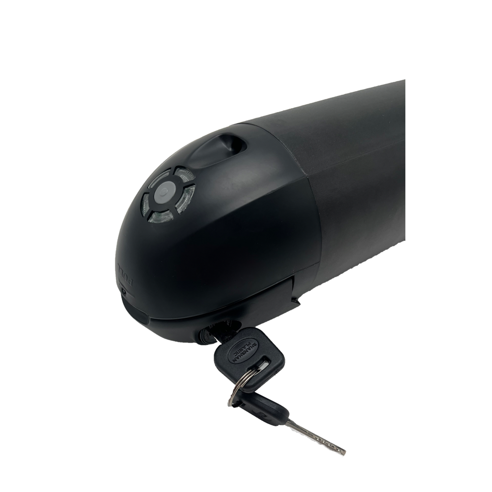 E-bike lithium batteries.png